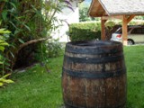 Rain Barrel